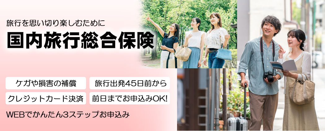 国内旅行総合保険