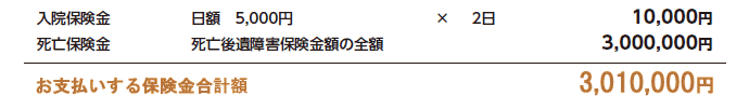 自転車事故での保険金お支払い例